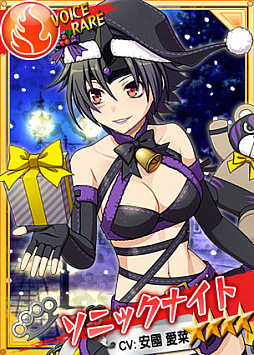 画像ギャラリー No.006のサムネイル画像 / 「リングドリーム 女子プロレス大戦」,ソニックナイトが季節限定デザインで登場。クリスマスイベントの開催も