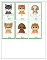 ���������꡼ No.004�Υ���ͥ������ / �ڥåȰ������ߥ�˥ƥ���peaco�פΥ����ץ�¥ƥ��Ȥ������������ȡ�ưʪ�Τ����ä��������夻�ؤ��������Υ����ǥ��͡��Ȥʤɤ�ڤ��⤦