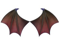 画像ギャラリー No.032のサムネイル画像 / ペット育成コミュニティ「peaco」,正式サービスが本日スタート