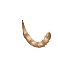 画像ギャラリー No.010のサムネイル画像 / 「peaco」ミニチュアダックスフンドの“ミク”を捜す「かくれんぼイベント」を開催