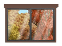 画像ギャラリー No.006のサムネイル画像 / 「peaco」11月16日以降に始まる新イベントなど秋のキャンペーン情報が公開に