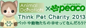 画像ギャラリー No.004のサムネイル画像 / 「peaco」,アイテム購入で動物保護団体への寄付が行えるチャリティキャンペーンを実施