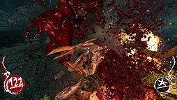 ꡼ No.023 | ݡޤΡShadow Warriorפӥ塼곰ΥᥤʤǡǦԥޥˤʤΤ