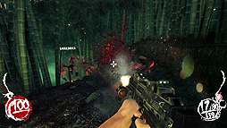 ꡼ No.033 | ݡޤΡShadow Warriorפӥ塼곰ΥᥤʤǡǦԥޥˤʤΤ