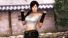 ���������꡼ No.010�Υ���ͥ������ / ��DEAD OR ALIVE 5 Ultimate�ס�ŹƬ�ѥץ��⡼�����PV����Ը����������ॷ���ƥ�˴ؤ���ǿ������