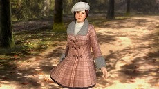 ���������꡼ No.021�Υ���ͥ������ / ��DEAD OR ALIVE 5 Ultimate�ס�����ͤ�ҥȥߤλ����Ѥ�������ͭ��DLC��4�Ƥ��ۿ�����