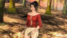 ���������꡼ No.022�Υ���ͥ������ / ��DEAD OR ALIVE 5 Ultimate�ס�����ͤ�ҥȥߤλ����Ѥ�������ͭ��DLC��4�Ƥ��ۿ�����