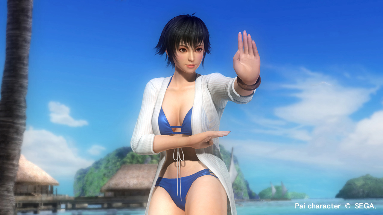 ꡼ No.011 | DEAD OR ALIVE 5 UltimateסPS3Ǹ̵ȥ륢åץǡȡVer.1.04פۿͭDLC֥ȥԥ륻塼פʤɤо