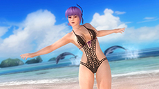 ꡼ No.001Υͥ / DEAD OR ALIVE 5 UltimateסPS3Ǹ̵ȥ륢åץǡȡVer.1.04פۿͭDLC֥ȥԥ륻塼פʤɤо