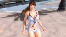 ꡼ No.005Υͥ / DEAD OR ALIVE 5 UltimateסPS3Ǹ̵ȥ륢åץǡȡVer.1.04פۿͭDLC֥ȥԥ륻塼פʤɤо