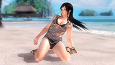 ꡼ No.006Υͥ / DEAD OR ALIVE 5 UltimateסPS3Ǹ̵ȥ륢åץǡȡVer.1.04פۿͭDLC֥ȥԥ륻塼פʤɤо