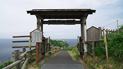 ꡼ No.001 | 赭3פDLCɲåݥåȥǡפ1228ȯ