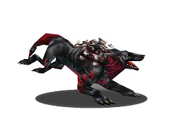 ������#004�Υ���ͥ���/�֥��륯������饤��ס������ʥܥ���ե�����ɤʤ�¿���ο����Ǥ�����