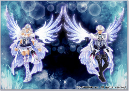 ꡼ No.011 | ֥륯饤10ǯ٥Ȥ1221곫