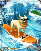 画像ギャラリー No.002のサムネイル画像 / 「戦国炎舞 -KIZNA-」,「いぬカードが出るまで引き放題!SSR確定無料10連ガチャ」を実施