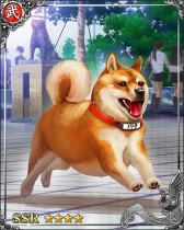 画像ギャラリー No.003のサムネイル画像 / 「戦国炎舞 -KIZNA-」,「いぬカードが出るまで引き放題!SSR確定無料10連ガチャ」を実施