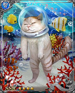 ꡼ No.005 |  -KIZNA-סɤȤΥܥڡȤͤФޤǰꥬɤ