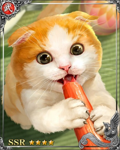 ꡼ No.001 |  -KIZNA-סͤڡ󳫺šCIAO ɤ륳ܥߥåо