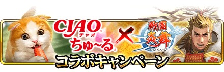 ꡼ No.002Υͥ /  -KIZNA-סͤڡ󳫺šCIAO ɤ륳ܥߥåо