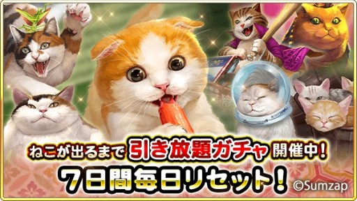 ꡼ No.005 |  -KIZNA-סͤڡ󳫺šCIAO ɤ륳ܥߥåо