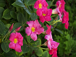 ꡼ No.008 | COMPUTEXϡǾʤ󥸥ɤޤGALAXYǽܤΥեåɤȯͽ