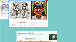 画像ギャラリー No.012のサムネイル画像 / PC総合ベンチマーク「PCMark 8」の個人ユーザー用が公開に。4Gamerで無料版のミラー開始