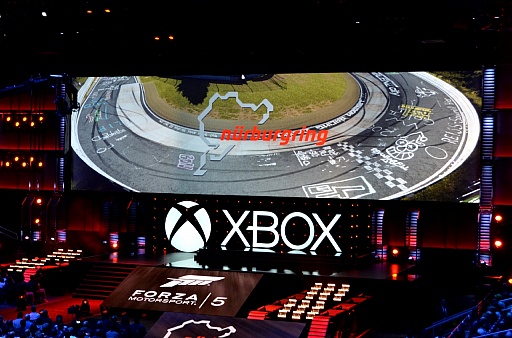 ꡼ No.013 | ֥ޥ顼P1פΥȥå׳ȯɥ饤СForza Motorsport 5פץ쥤إ ˥֥륯󥯤ĩۤϡ