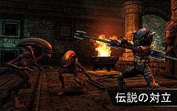 ꡼ No.001 | AVP Evolution