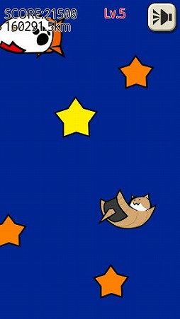 ねこto星になる