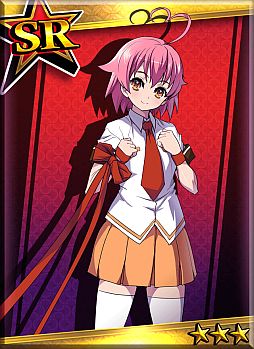 ꡼ No.008 | ֥ȥ󥸥륺סȥ륫ʥϡȡɤȤΥܥ٥2Ƥ