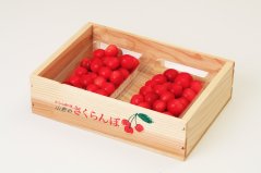 ꡼ No.002Υͥ / LINE ݥѥ5ǯǰ٥ȳšꥢ륰åڡʤ