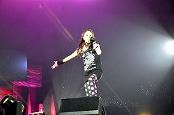 ꡼ No.050Υͥ / 㥹ȿؤΥץΨϲǹ⡩֥ƥ륺  ե˥ ˥ʥȥѥåפȯɽ줿֥ƥ륺  եƥХ 20131ܥݡ