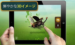 カブトムシ 〜森の王座〜