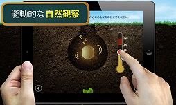 カブトムシ 〜森の王座〜