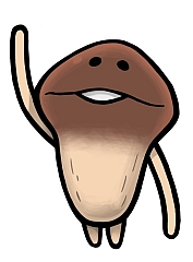 ꡼ No.015Υͥ / ֤õץ꡼ǿ֤õ Τ 饤3 ʤᤳϥХʥʤ̴򸫤뤫ס3DSѥեȤȤ2013ǯȯ