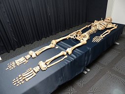 ꡼ No.014 | PS4ѥȥThe Order: 1886פȯ䡣ƳŤ줿ǥåͤݡ