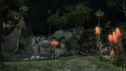 ꡼ No.051 | PS4Ǧ¥ƥľΡֿFFXIVפˤĤƵľ˥󥿥ӥ塼⡼ȥץ쥤δݡȤ褦