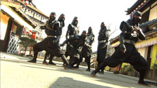 ꡼ No.007Υͥ / 3DSѥƮ ǦȥХХХȥ롪פθȤɥץ