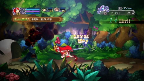 ꡼ No.024Υͥ / ֥륫ǥɱסо쥭饯֥顼ġס֥ˡס֥ȡפξʤɤ餫ˡƮƥˤ