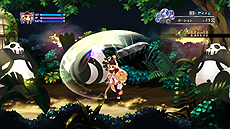 ꡼ No.035Υͥ / ֥륫ǥɱסܺΥɤ2Ʈƥַס4ͤо쥭饯ξ