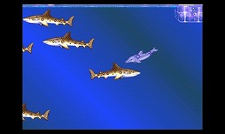 3D �������������ɥ�ե���