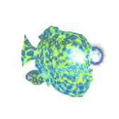 ꡼ No.005Υͥ / HELLO HEROס٥եʤ5ΰ⤬ҡˤʤäо