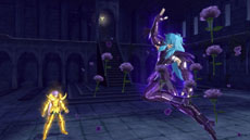 ꡼ No.020 | Ʈ ֥쥤֡른㡼ס̽ϡǥϤˤäƺᤷ6ͤ̽ƮΤλ郎