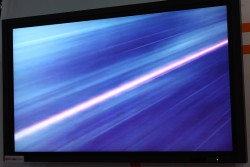 ꡼ No.011Υͥ / TGS 2013Ͼʥˤǳ䤷ƥӥåХ󥢥åȯֶΡƮ֥쥤֡른㡼ץơݡ