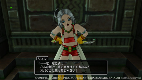 ꡼ No.007Υͥ / ܤ桩 MMORPG֥ɥ饴󥯥Xˤε饤פ緿åץǡȤ˼»