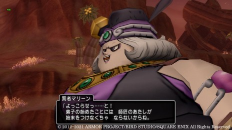 ꡼ No.005 | DQX饤פΥС5.5åץǡȤκǿ󤬸ǽϤǤϥȥƥ⳦äʤɤ餫