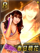 ꡼ No.004 | ̾쥹顼100Ͱʾ塣ַƮ!!ץ쥹ɥХȥסGREEۿ