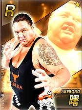 ꡼ No.005 | ̾쥹顼100Ͱʾ塣ַƮ!!ץ쥹ɥХȥסGREEۿ