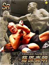 ꡼ No.008 | ̾쥹顼100Ͱʾ塣ַƮ!!ץ쥹ɥХȥסGREEۿ