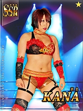 ꡼ No.010 | ̾쥹顼100Ͱʾ塣ַƮ!!ץ쥹ɥХȥסGREEۿ